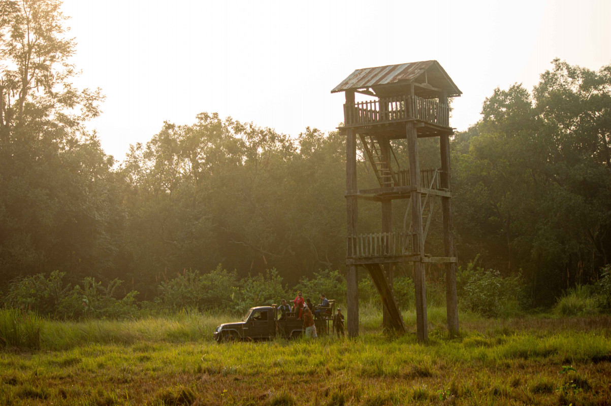 jungle-central-plaza-tower-bardiya-national-park.jpg