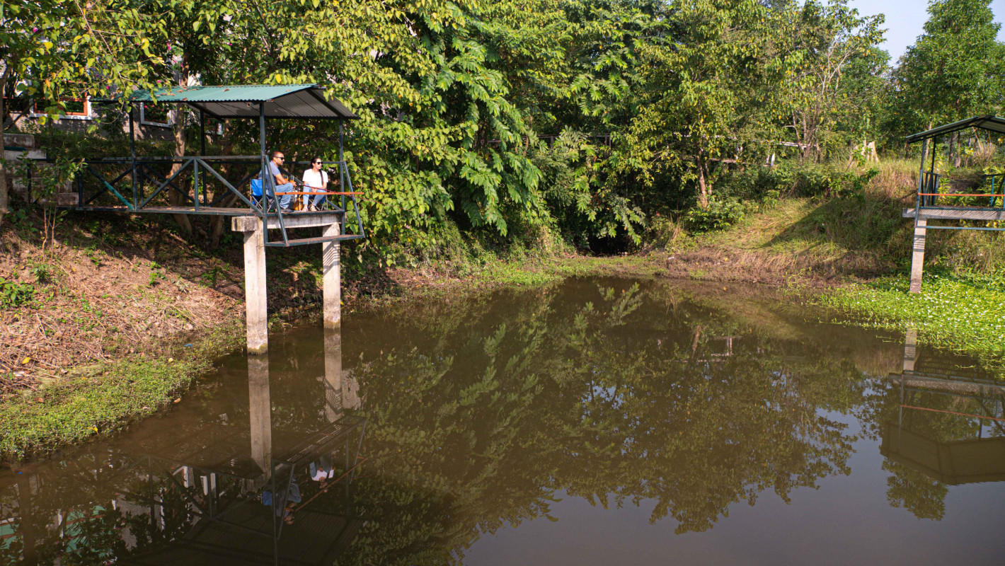 jungle-central-plaza-fishing-inside-resort